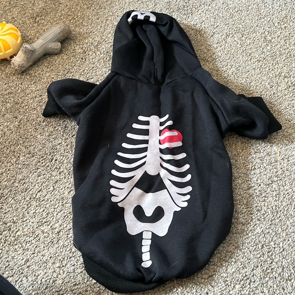 Dog hoodie